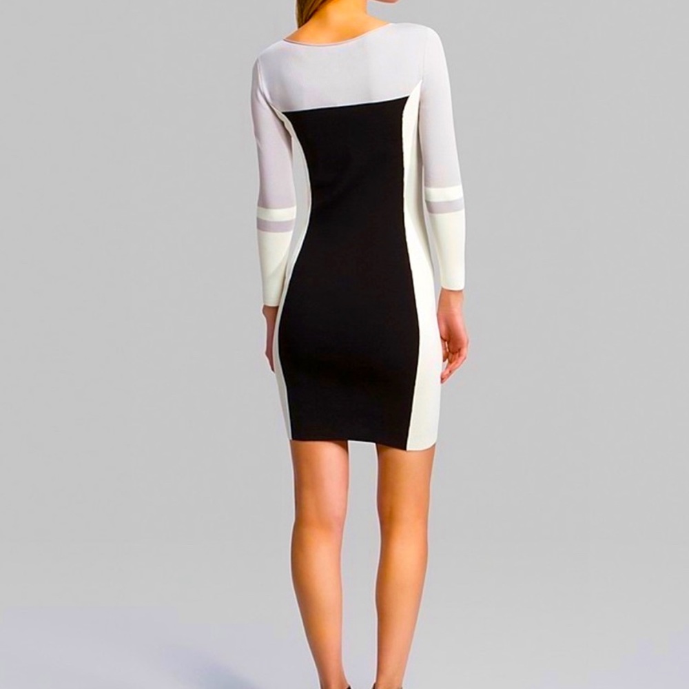 Halston Heritage Couture Dress